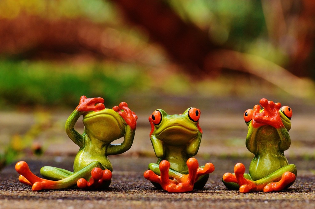 frogs-1274770_1280